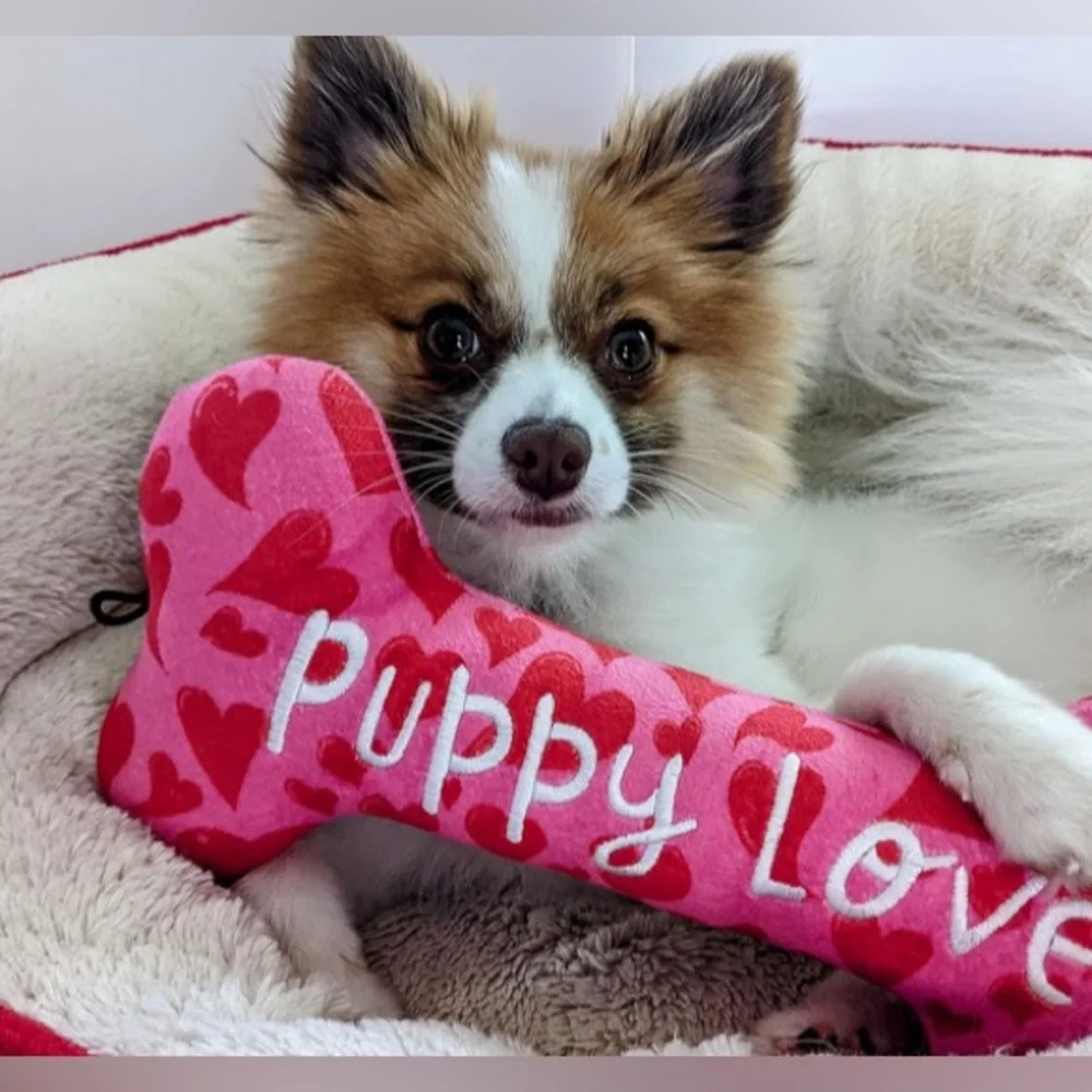Puppy Love Pink and Red Dog Toy